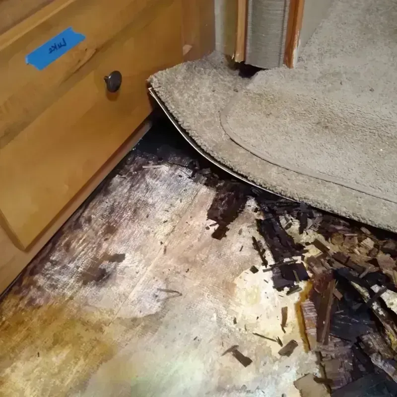 Wood Floor Water Damage in Covington County, AL